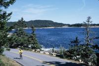 Cycling on the road at Scoodic Point with Frenchmen's Bay in the background. Maine Acadia National Park