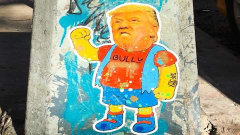 My Trump-Like Bully