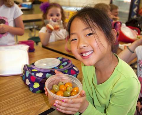 Healthy Food and Nutrition Choices for Your Children   Recipe