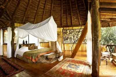 Treetop Dreams: Top Places to Sleep Among the Trees. 