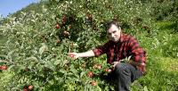 Arnvid Steinsto, a fruit grower whose farm has been in the family for eight generations. Western Norway