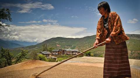 Perspectives of Global Environmental Change in the Anthropocene