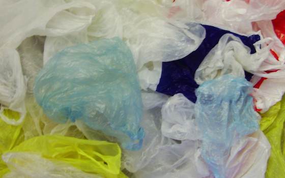 Plastic Bags are Not a Need - Just a Bad Habit