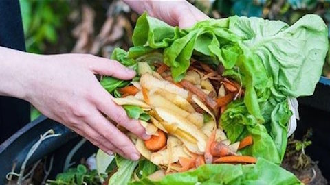 Reducing Food Waste: Good For Restaurants, Diners and The Environment