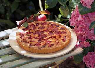 Plum Almond Tart