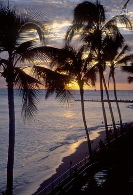 Sun sets through the palms of Waikiki Beach, Oahu