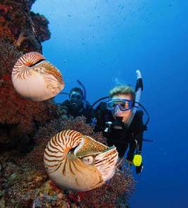 Taking the Kids: Learning to Scuba Dive