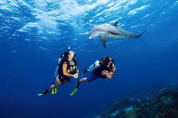 Taking the Kids: Learning to Scuba Dive