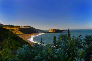 Taking the Kids To California Wine Country The Sonoma coast