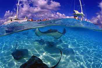 Taking the Kids To the Caribbean in Summer