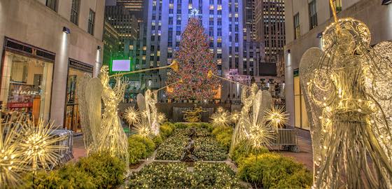 Checking Out the Holiday Lights