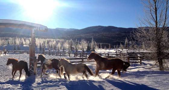 Taking the Kids to Vista Verde Ranch in Winter
