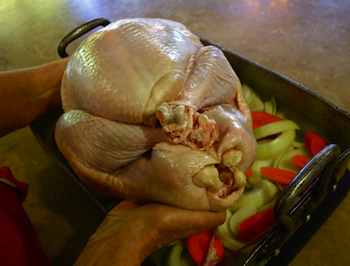 PHOTO 2: Rest the turkey on a bed of onions and carrots so it doesn't stick to the roasting pan