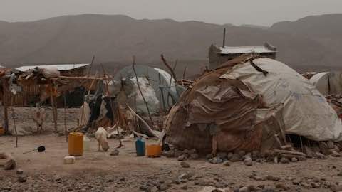 The Afars: Eritrea's Forgotten Refugees