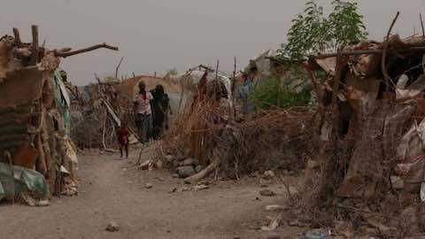 The Afars: Eritrea's Forgotten Refugees