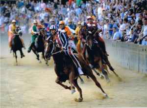 The Palio Leader Siena Tuscany Italy