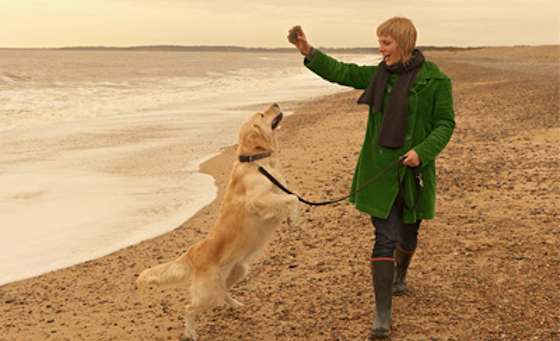 The Surprising New Way to Stay Fit -- Without Exercise