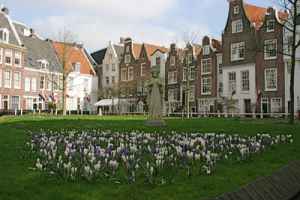 The hidden Begijnof, originally an area occupied by single religious women, is a quaint village square with a small medieval church located in the heart of the city.