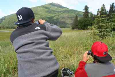 Max Weinberg, 12, and Miles Singer, 13, watch for bears in the meadow from a perch 15 feet above the ground at a 'bear camp' at the edge of an Alaska national park.