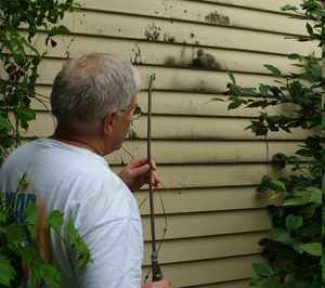 The exterior of a house needs to be cleaned just like the inside. Clean it instead of repainting