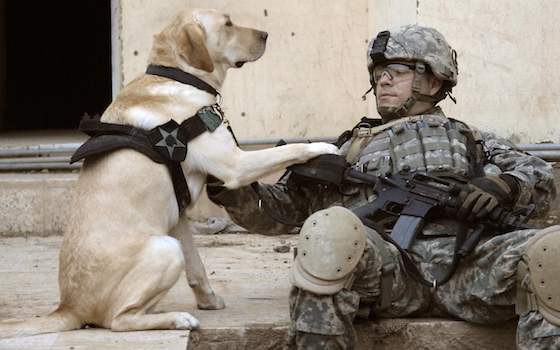 Why Are Governments Not Looking After Themselves?