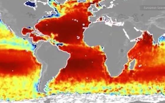 Why Is the Ocean Becoming More Acidic?