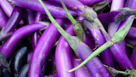 Wolfgang Puck Recipes: Eggplant, Zucchini & Tomato Gratin Recipe Recipe
