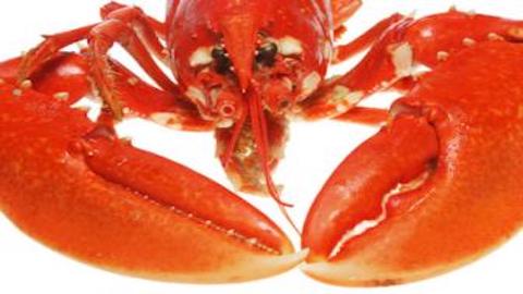 Grilled Lobster & Summer Vegetables with Spicy Herb Butter   Recipe